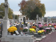 Graves with chrysanthemums
